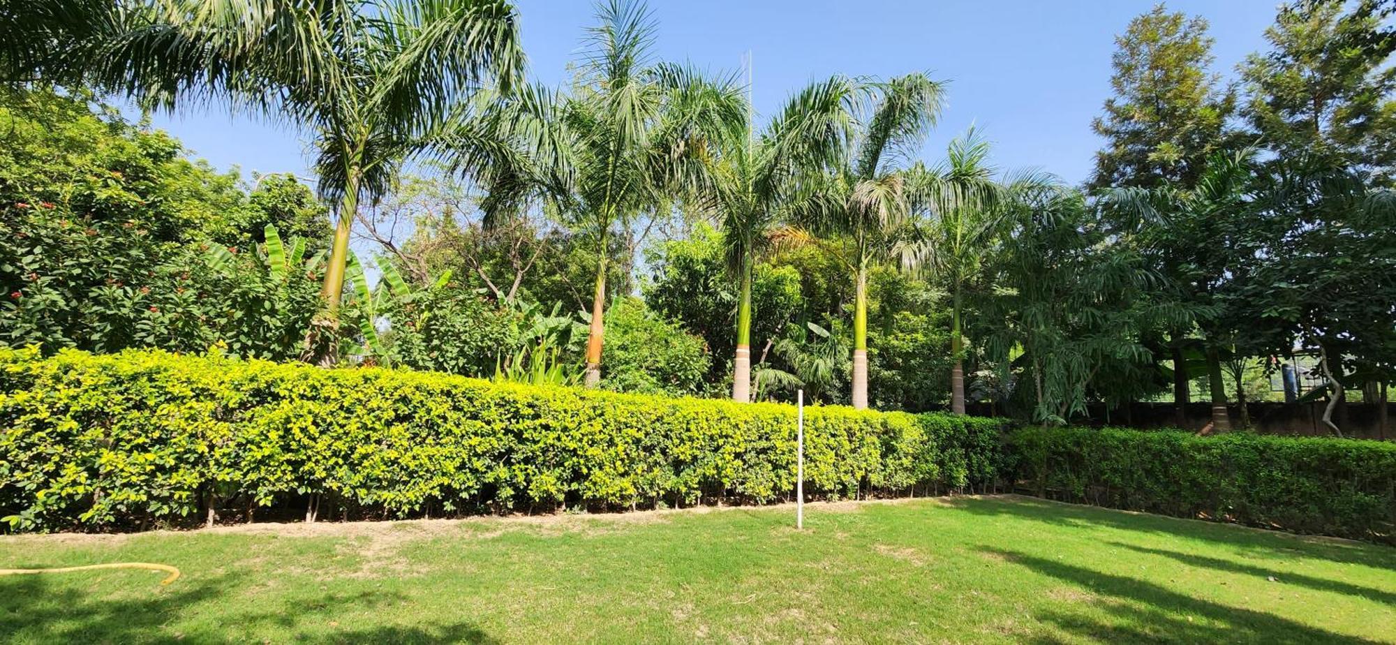 Apartment Vacation Paradise- Luxurious 3-bhk Flat Near Igi Airport And Icc *